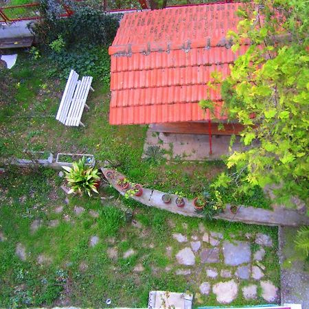 Villa Sofia Limenaria  Extérieur photo